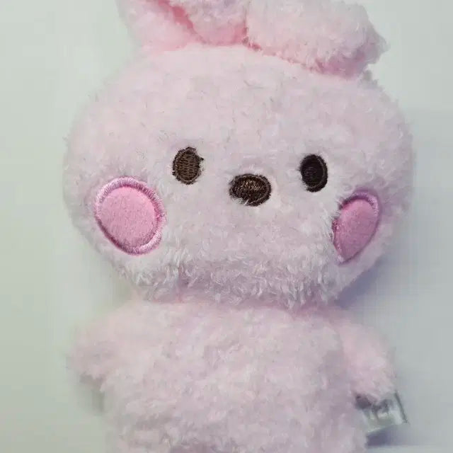 BT21 COOKY 인형 개봉