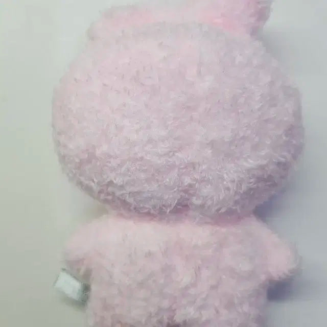 BT21 COOKY 인형 개봉
