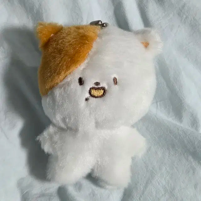 포켓찌