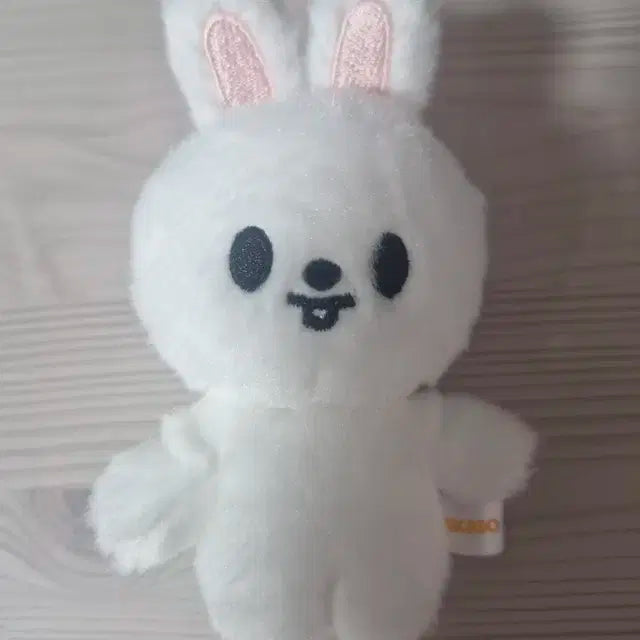 스키즈 스키주 리빗