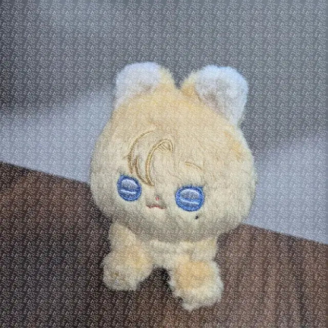 플레이브 비공굿 놔쫑이