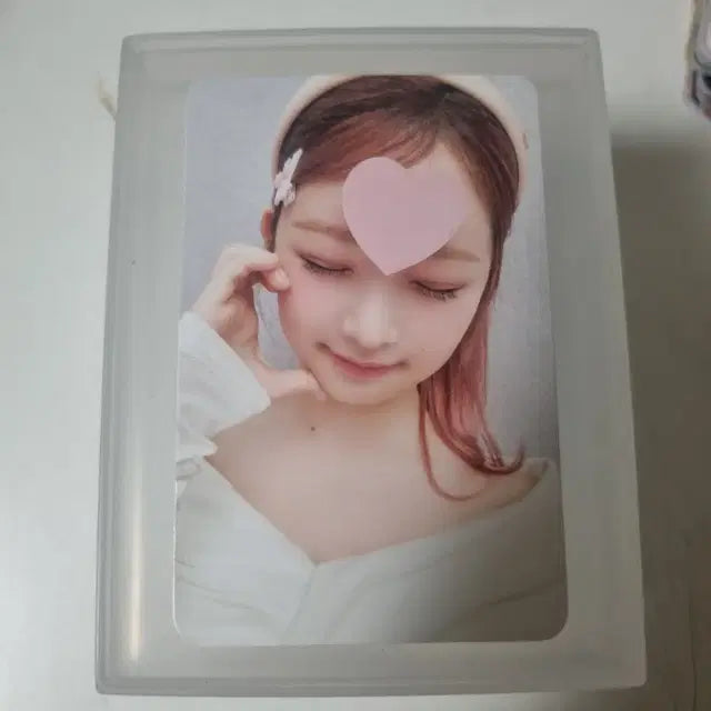 2024 아이브 시즌그리팅 레이