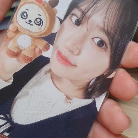 아이브 크리스마스 미니브 강안지 특전 포카 안유진
