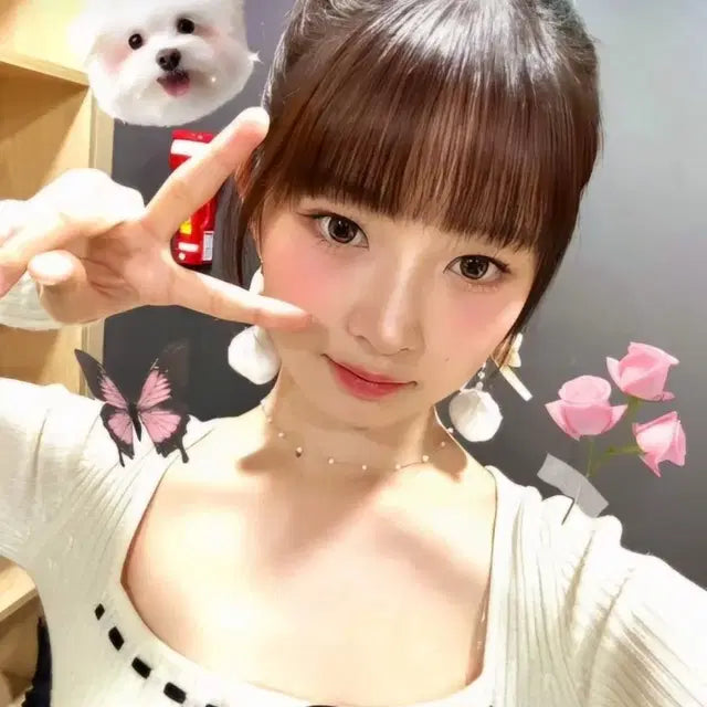 아이브 비공굿 스쿱마켓 랜박 엽니다 열어요 판매팜팔아요포카미공포