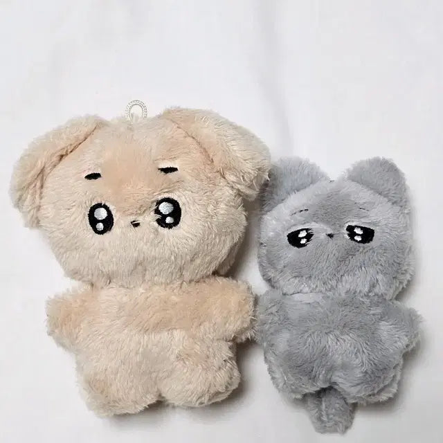 양도)솸댕째냥