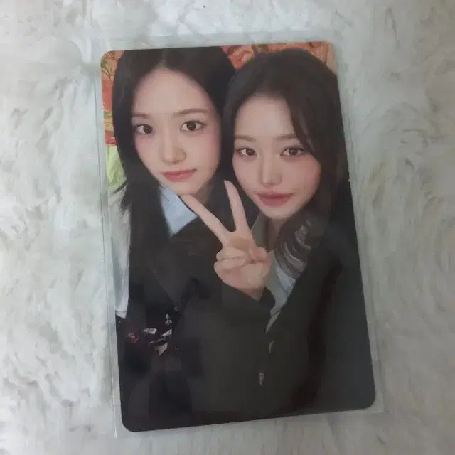 (사진많음)아이브 md