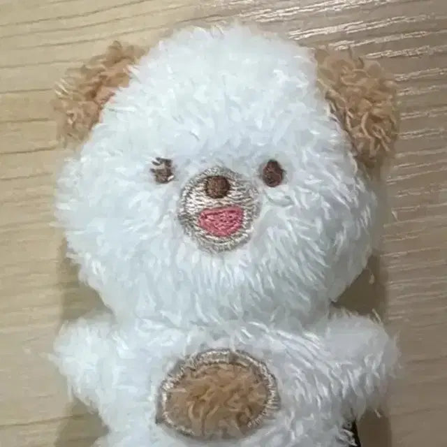 쁘띠멀즈 마그넷 돈