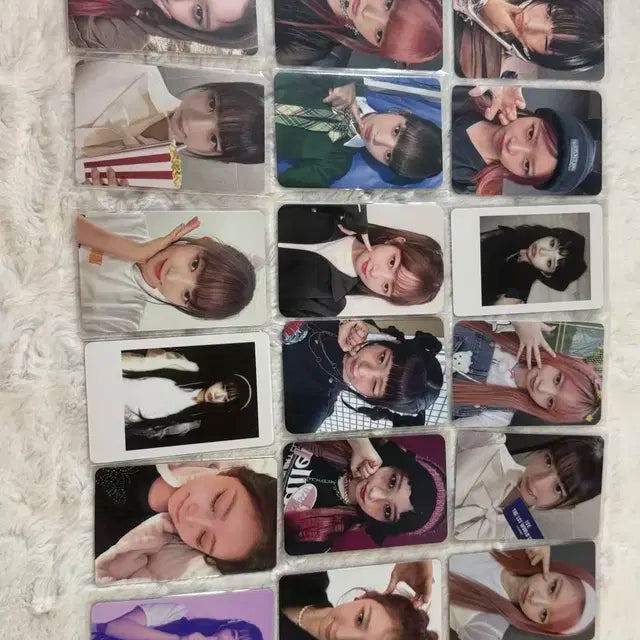 아이브 레이포카 판매