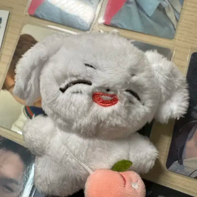 이창섭 인형 댕댕섭 판매