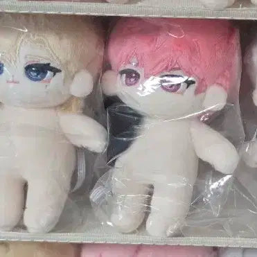 꼬마플브 판매합니다