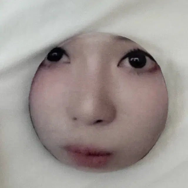 에스파 말랑핀뱃지 얼빡 카리나 지젤 윈터 닝닝
