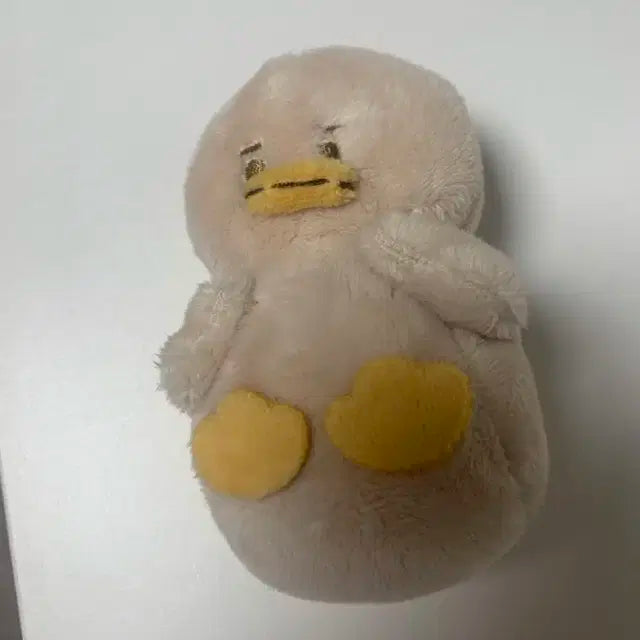 Nct 정우 쩡덕이 10cm 인형 양도