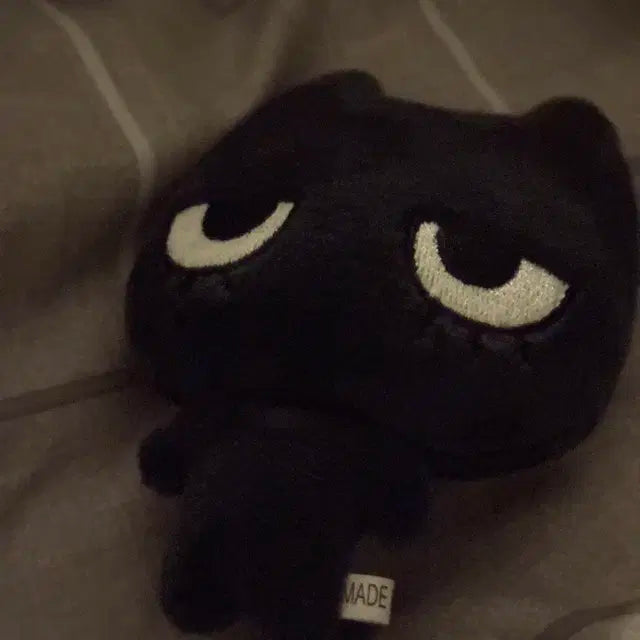 태냐코 10cm 급처