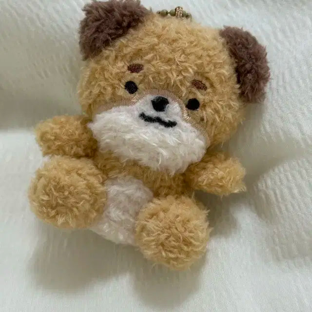 앉은멀즈 돈