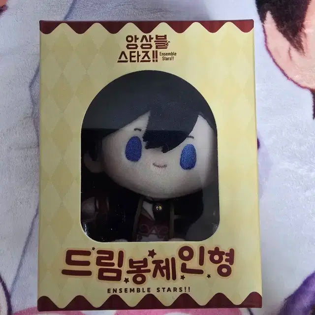 앙스타 호쿠토 드림누이