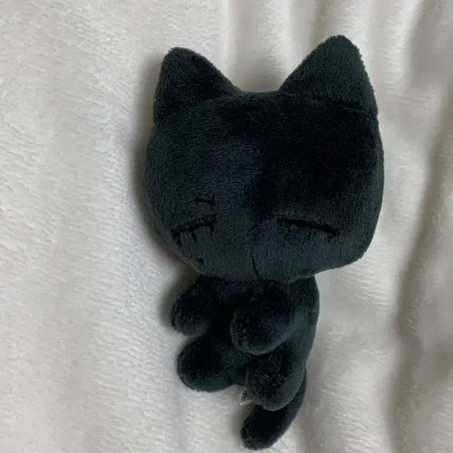 보이넥스트도어 보넥도 태산 인형 태냐코 눕냐코 팝니다
