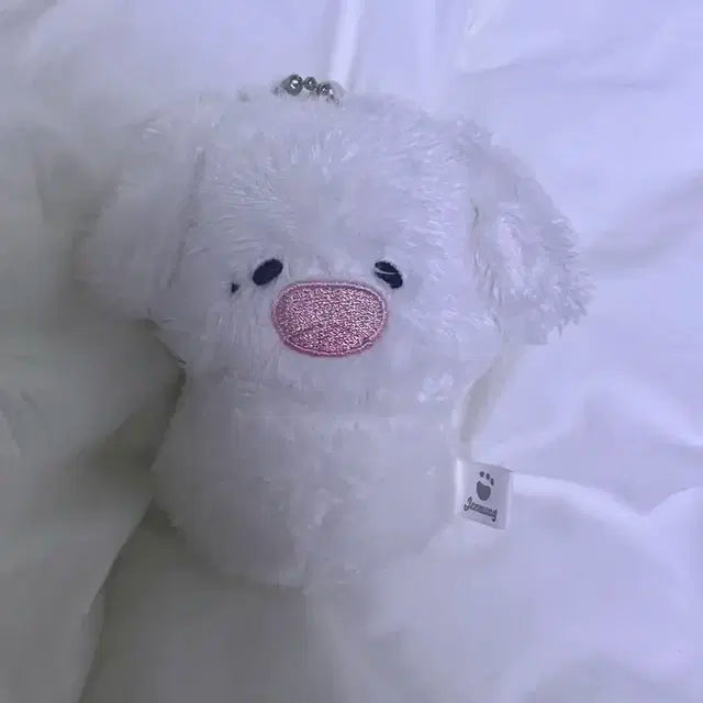 엔시티 드림 제노 젠멍이 양도 일이칠 위시
