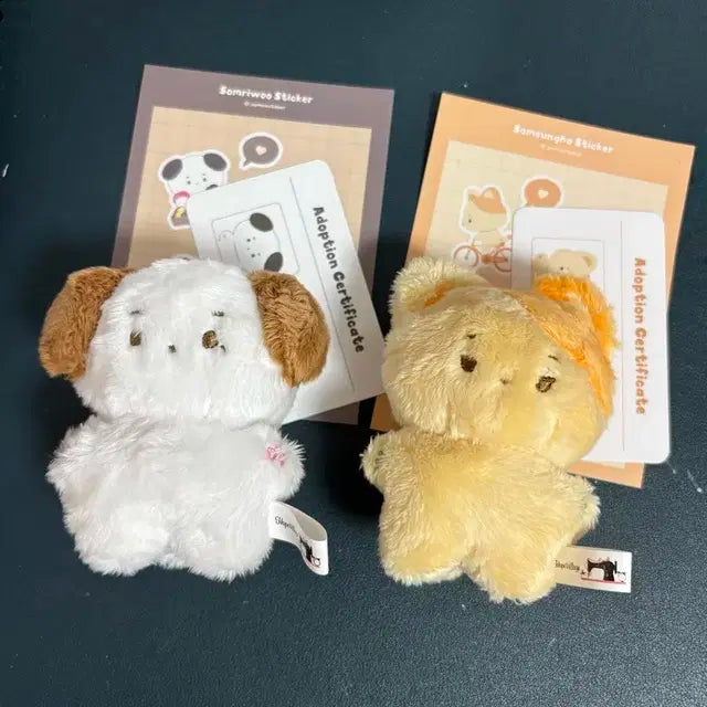 보넥도 솜넥도 솜리우 솜성호