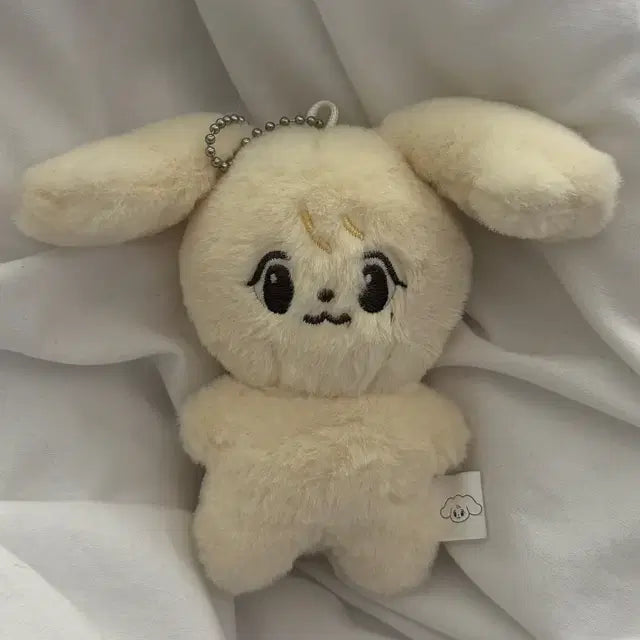 정아지 쩡아지 정우인형 엔시티127일이칠 nct