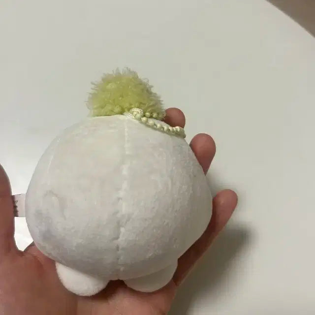 엔시티드림 천러 인형 모찌러도후 모모토우러 꼼러