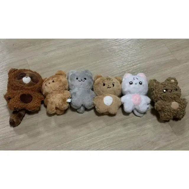 더보이즈 쪼구리 쥬냥이 달곰이 곰찌 차니냥