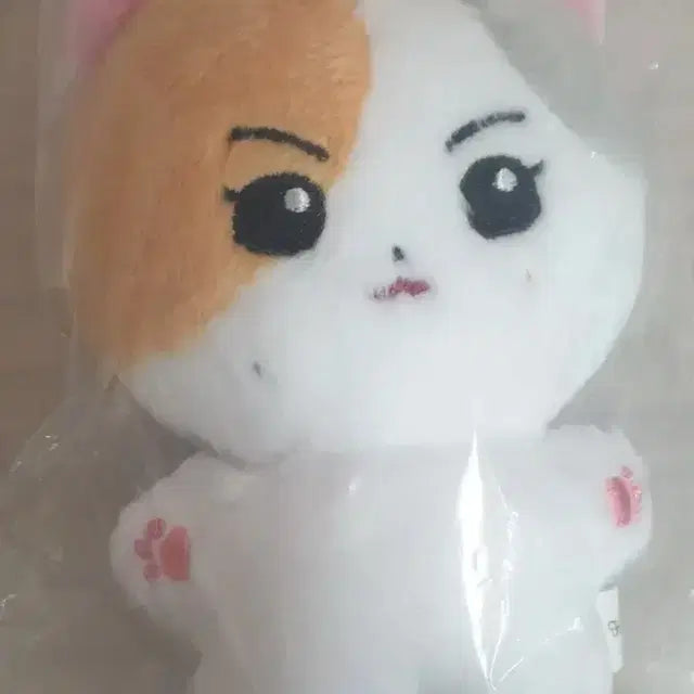 엔하이픈 정원 인형 / 한국냥(앤니멀즈)