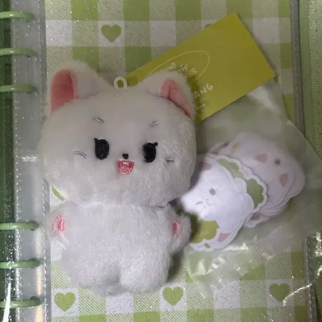 엔시티 도영 인형 또냥이 양도