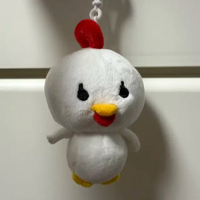 데니멀즈 쩨꼬 18
