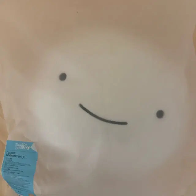 보넥도 쁘넥도 운아기 쿠션
