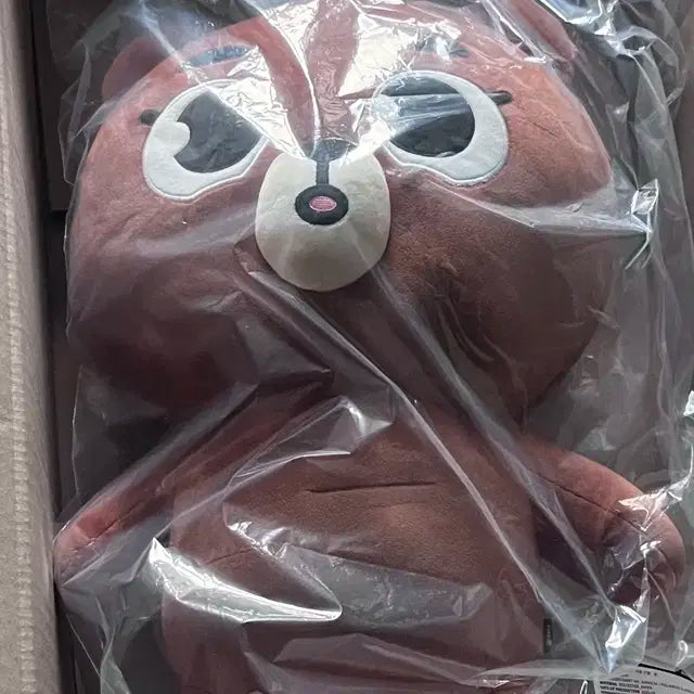 자이언트데니멀즈 방 +폴라로이드