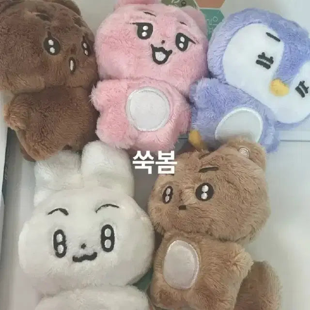 뽀바투 말랑닝 판매합니다!