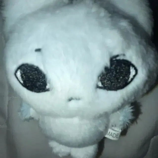 보넥도 성호 미묘삐 양도 성호 인형