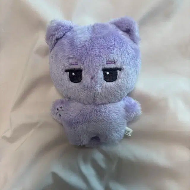 훙냥이 판매