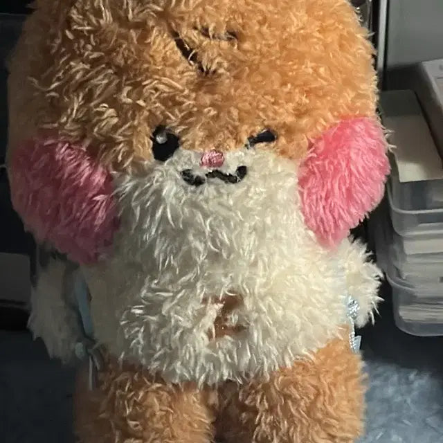 제로베이스원 제베원 성한빈 제로니 메세지 중형 비니니