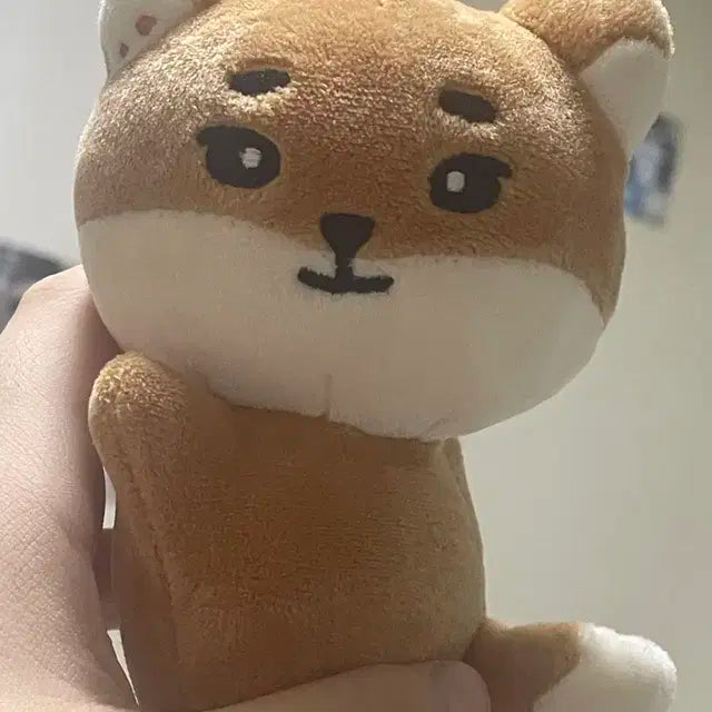 데니멀즈 손난로 케 양도합니다
