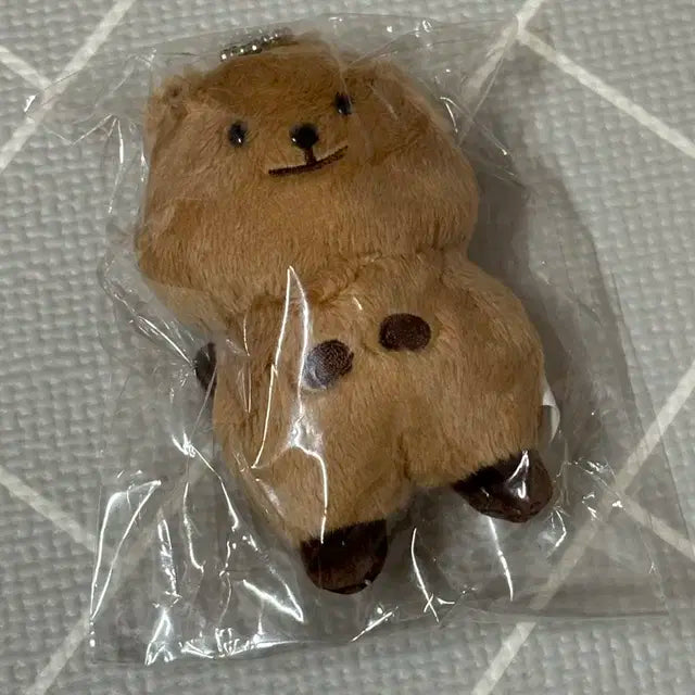 엔시티 정우 인형 10cm 쩡카 쿼카