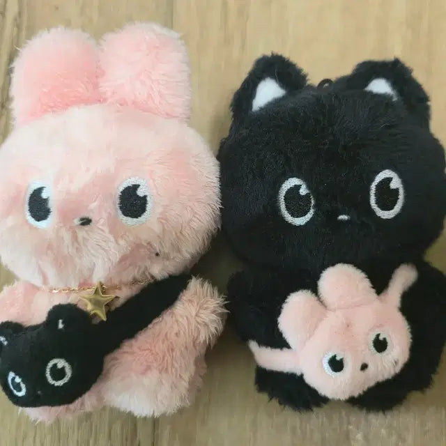 라이즈 원빈 인형 냥삐 또삐 양도
