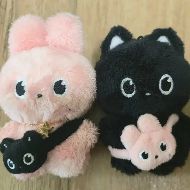 라이즈 원빈 인형 냥삐또삐 양도