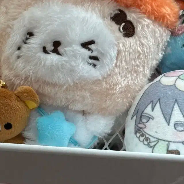버블냥 엔시티위시 유우시
