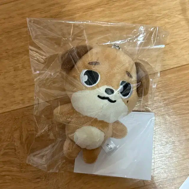 데이식스 일본md 백참 돈 새상품