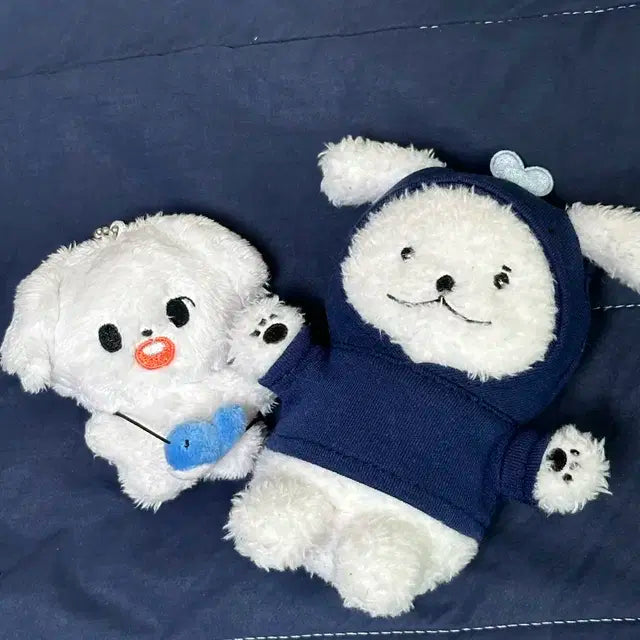몬스타엑스 민혁 말티댕 멍꼬 양도
