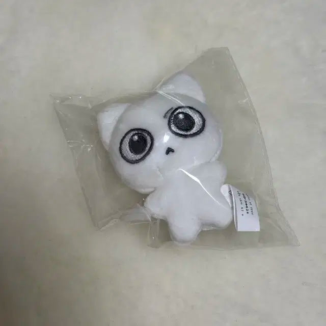 예삐냥, 캣삐 쿠션 양도해요 보넥도 보이넥스트도어 쁘넥도