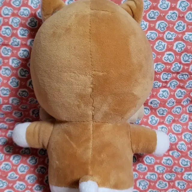 # 세븐틴 호시 인형~