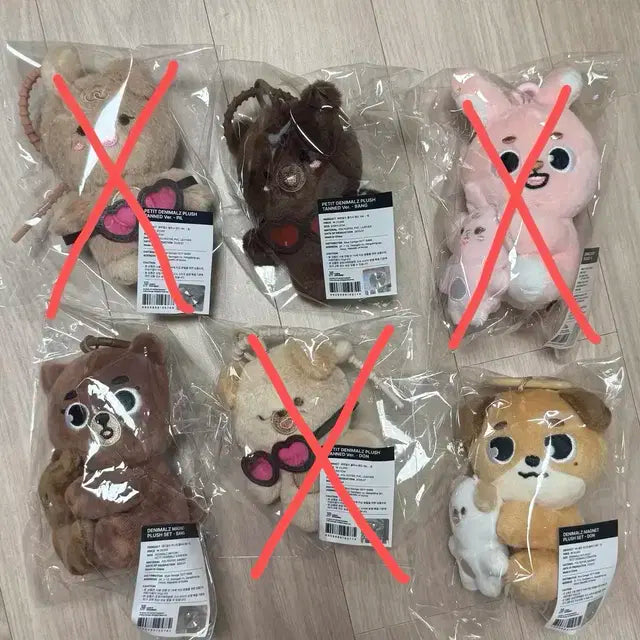 데이식스 팬미팅 데니멀즈