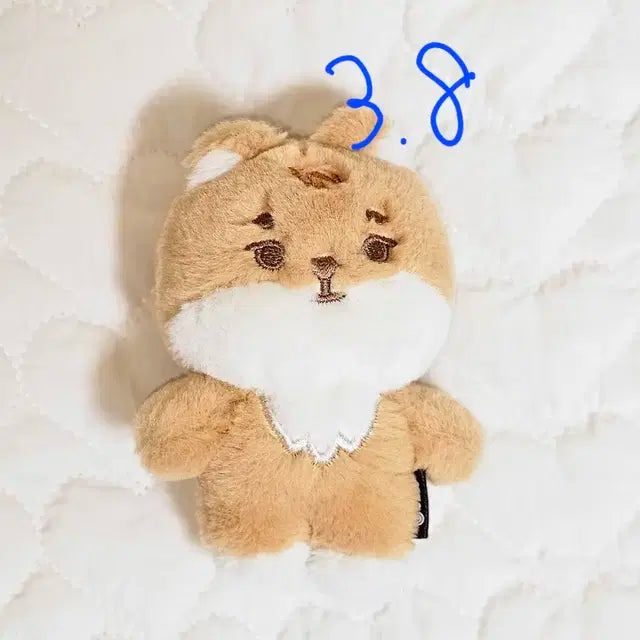 데이식스 데니멀즈 쁘멀 인형 케