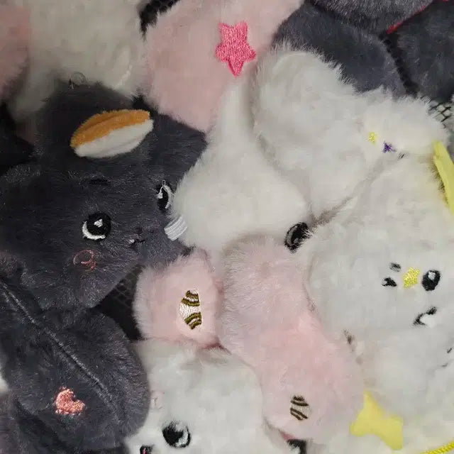 엔시티위시 위시돌 위츄 짭츄 팡이 쿠리 룐룐이