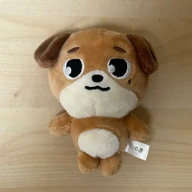데이식스 돈 일본 엠디 백참