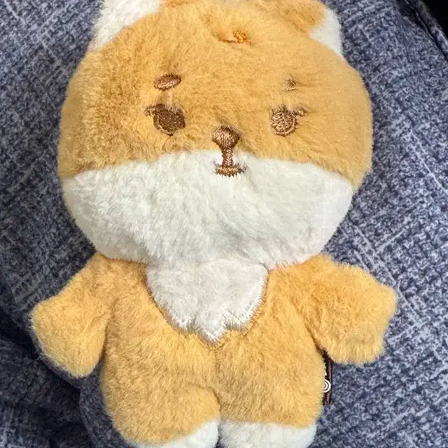 쁘띠멀즈 케
