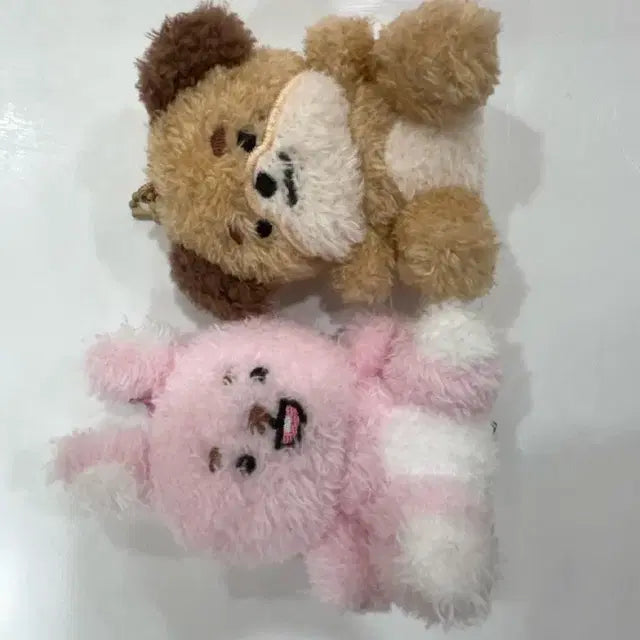 데이식스 앉은필 앉은돈 원가이하 일괄만