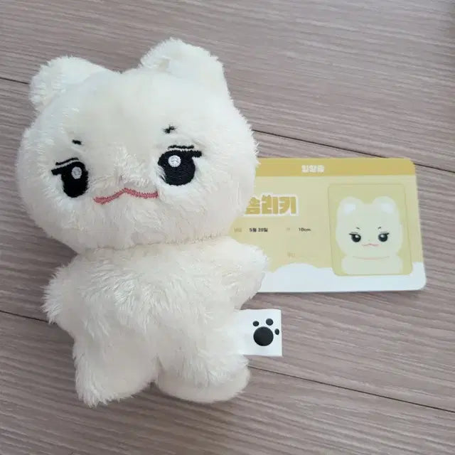 제베원 인형 팔아요!!